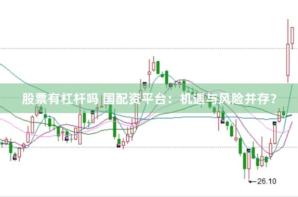 股票有杠杆吗 国配资平台：机遇与风险并存？