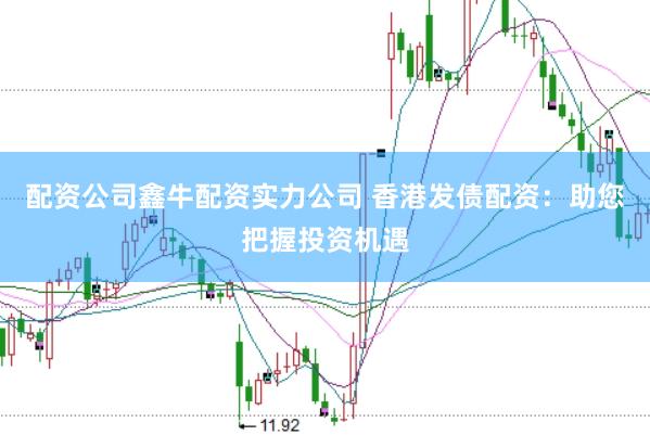 配资公司鑫牛配资实力公司 香港发债配资：助您把握投资机遇