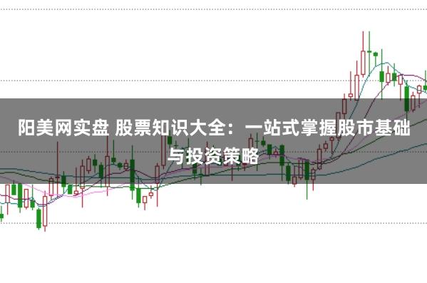 阳美网实盘 股票知识大全：一站式掌握股市基础与投资策略