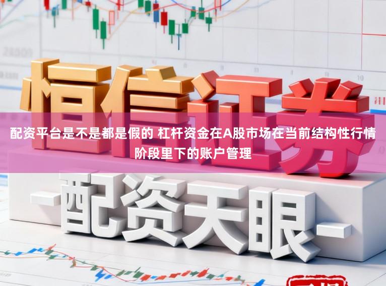 配资平台是不是都是假的 杠杆资金在A股市场在当前结构性行情阶段里下的账户管理